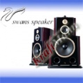 SWANS Speaker